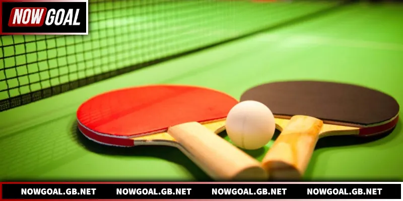 Bóng Bàn Nowgoal - Cập Nhật Soi Kèo Và Tỷ Số Chuẩn Xác